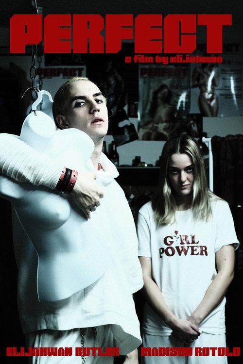 Perfect Poster