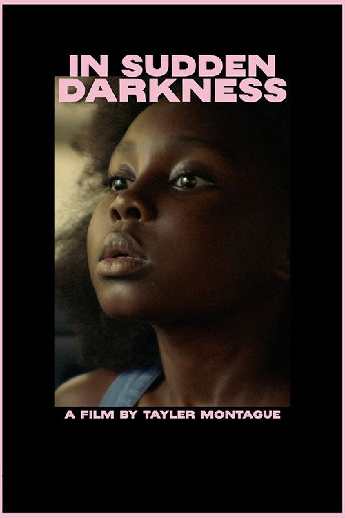 In Sudden Darkness poster 4