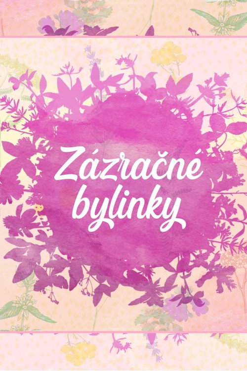 Z&aacute;zračn&eacute; bylinky电影海报