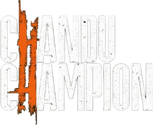 DASHING KHILADI 4 Logo
