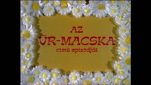 Az űr-macska
