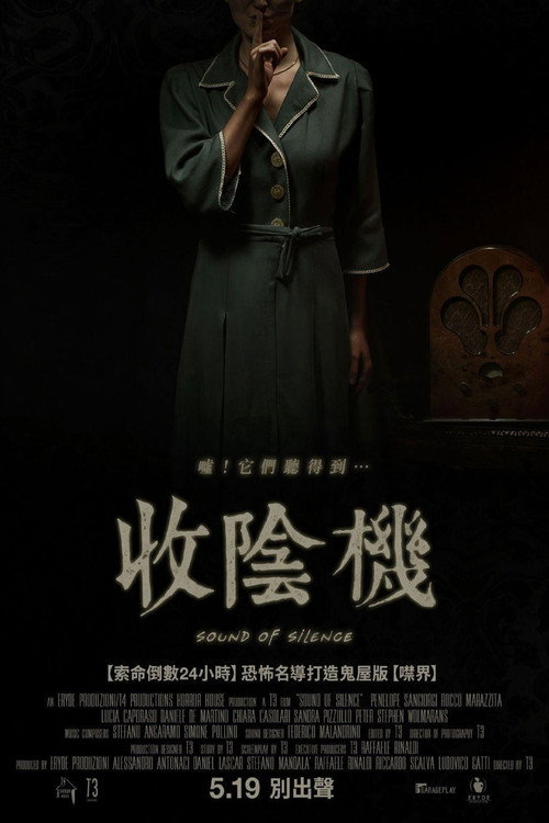 寂静之声电影海报