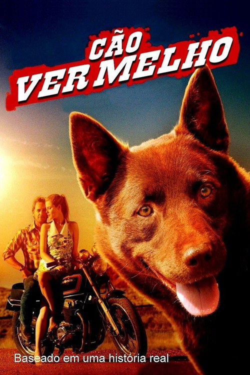 Assistir Cão Vermelho (2011) filme completo dublado online em Portuguese