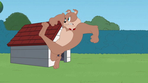 Jerry Rigged