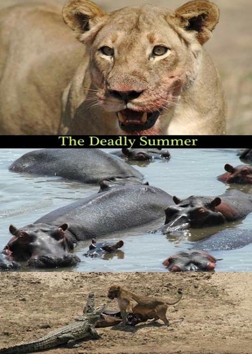 Deadly Summer Poster