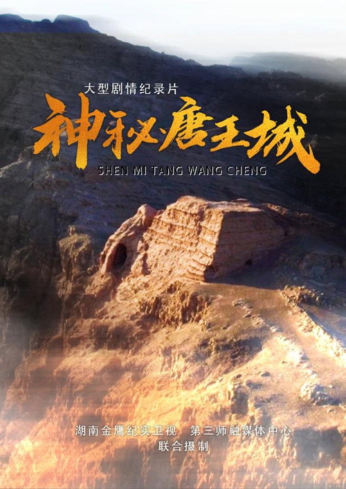 神秘唐王城电影海报