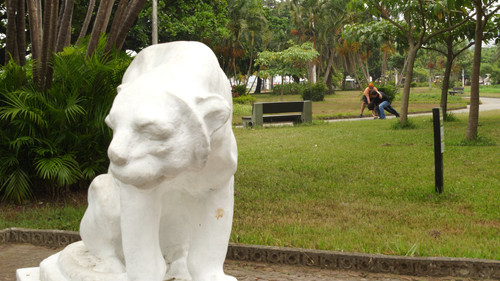 image1