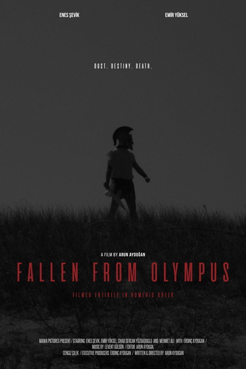 Fallen From Olympus海报