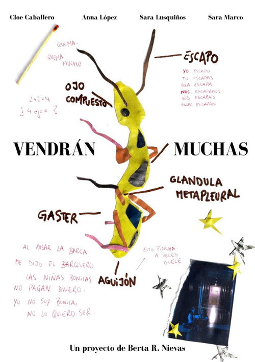 Vendr&aacute;n muchas电影海报