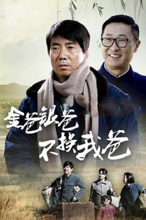 平凡的岁月 poster 3