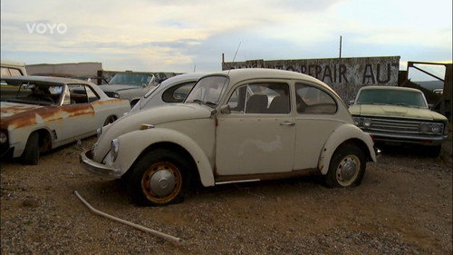 Bed, Bug & Beyond