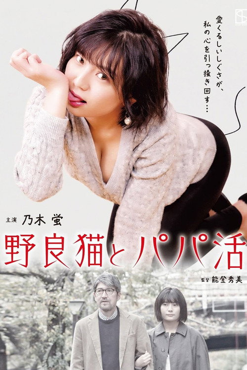 Stray Cats and Sugar Daddies poster 2