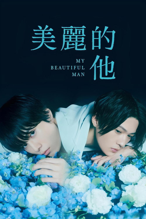美丽的他电影海报