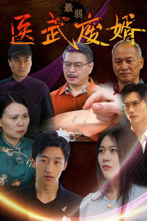 最弱医武废婿电影海报