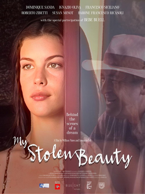 My Stolen Beauty Poster