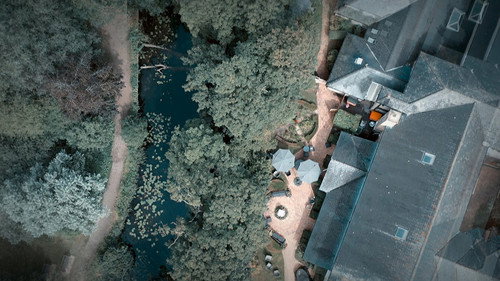 A Gruesome Discovery