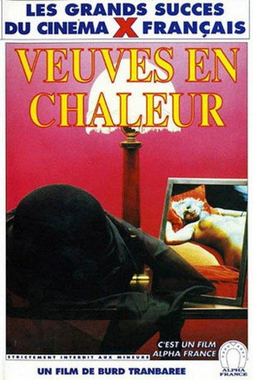 Hot Young Widows poster 3