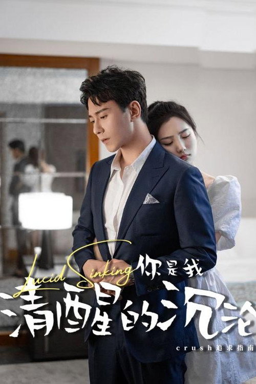 你是我清醒的沉沦海报