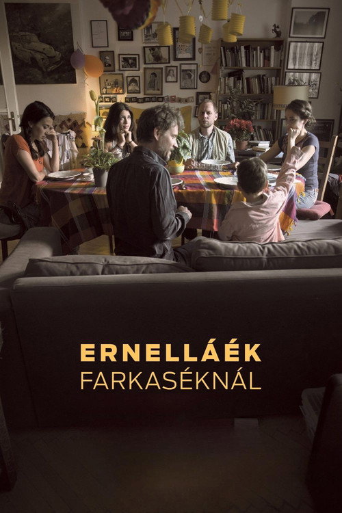 Ernell&aacute;&eacute;k Farkas&eacute;kn&aacute;l电影海报