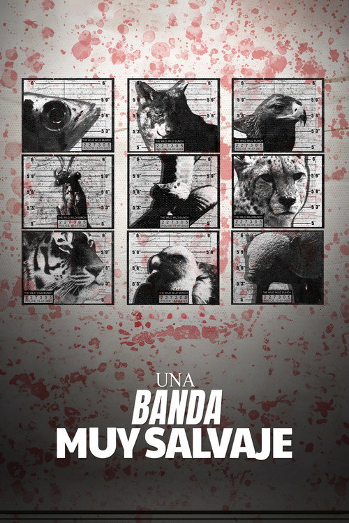 The Wild Wild Bunch