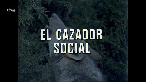 The Social Hunter