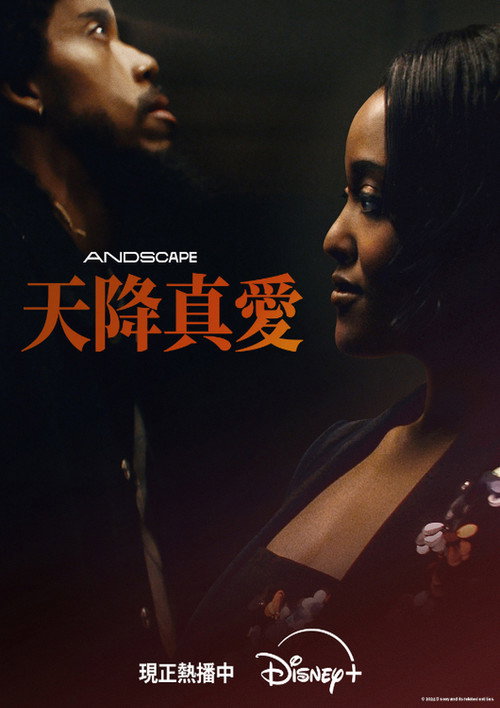 爱情专家电影海报