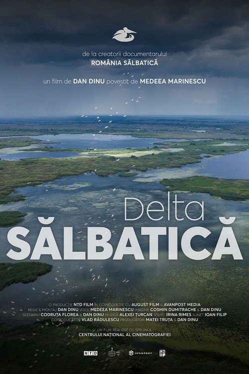 Wild Delta Poster