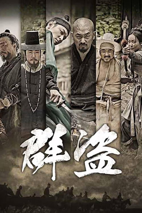 群盗：民乱的时代电影海报