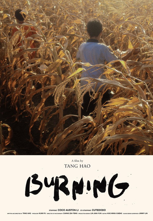 Burning poster 2