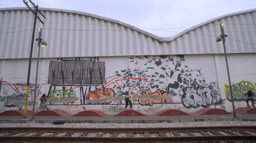 Backdrop