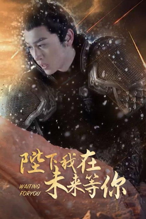 陛下我在未来等你电影海报