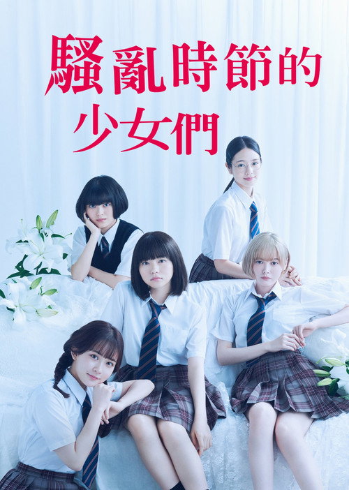 骚动时节的少女们啊电影海报