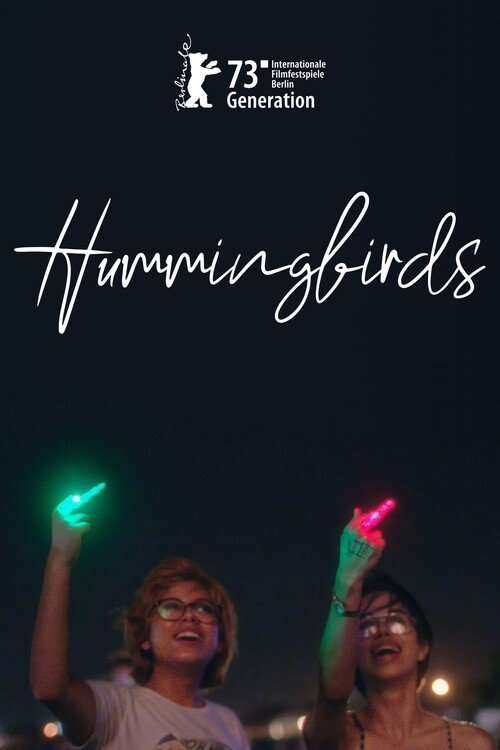 Hummingbirds poster