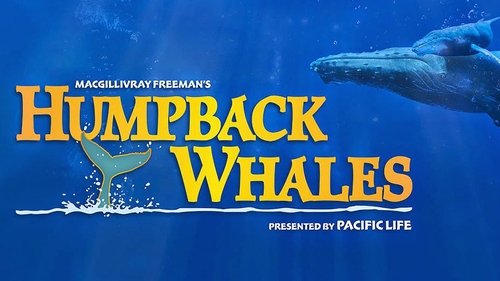 Humpback Whales 2015