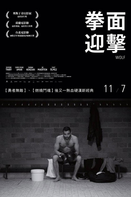 狼拳电影海报