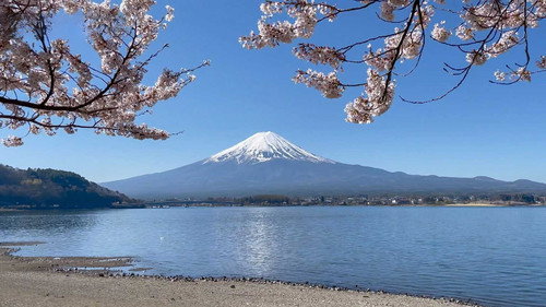 Fuji Five Lakes: The Water of Life