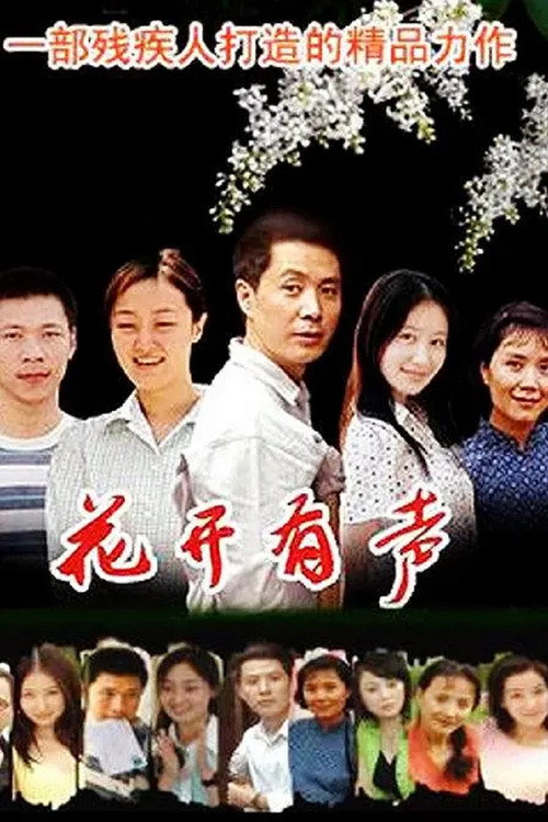 花开有声电影海报