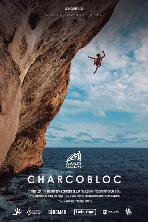 Charcobloc电影海报