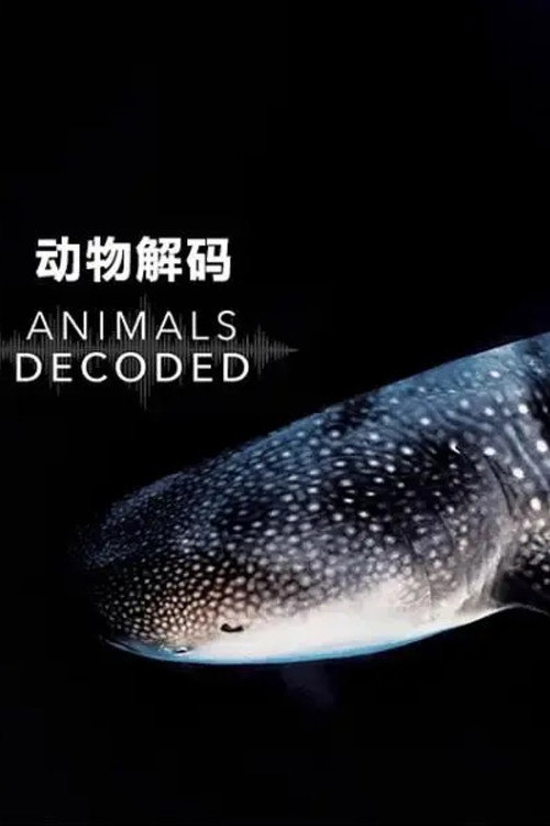 动物解码电影海报
