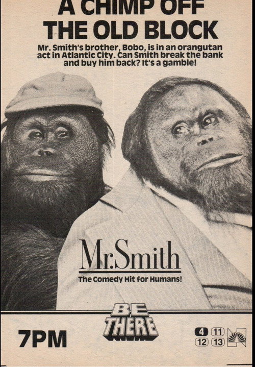 Mr. Smith poster 2