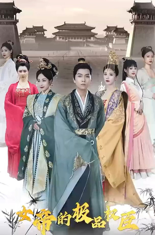 女帝的极品权臣电影海报