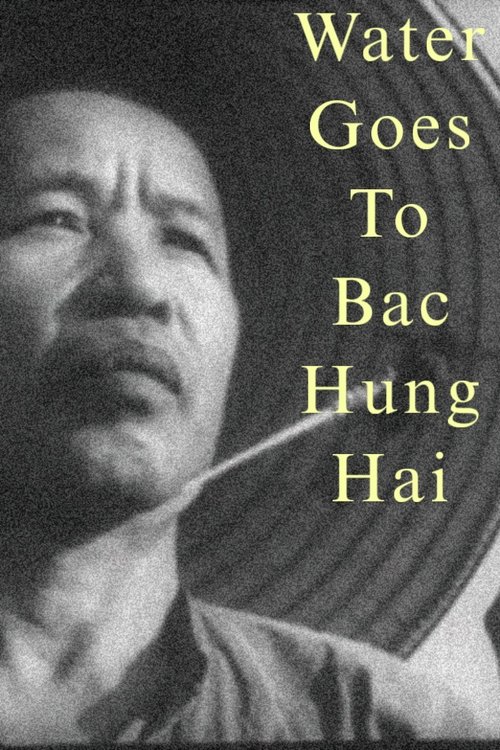 Water Goes to Bac Hung Hai
