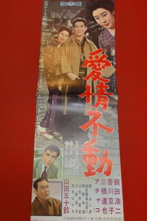 愛情不動电影海报