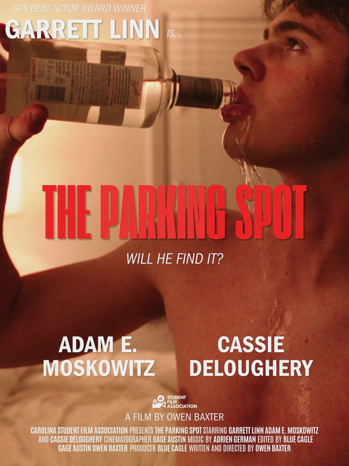The Parking Spot Poster