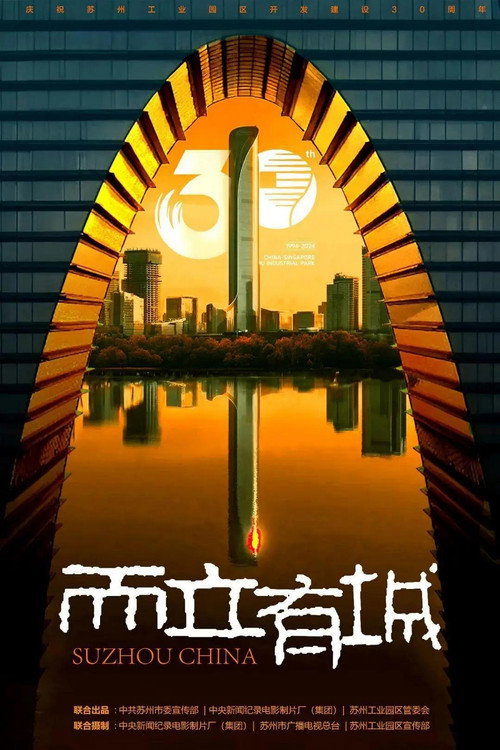 而立有城电影海报
