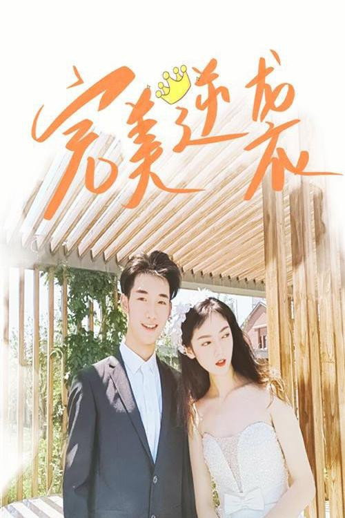 完美逆袭电影海报