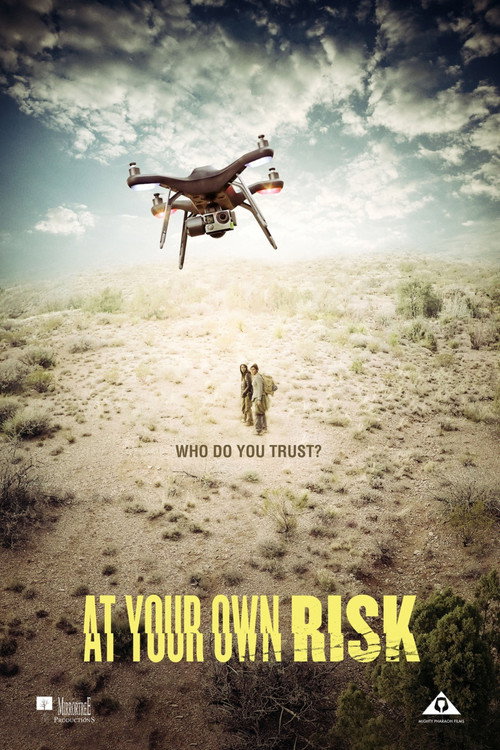 At Your Own Risk poster 2