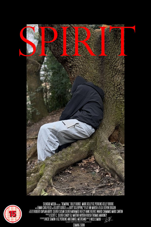 SPIRIT's poster