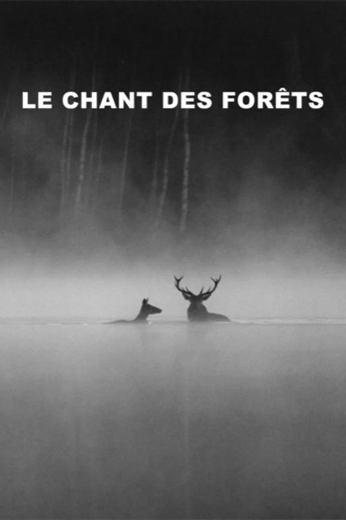 Whispers in the Woods