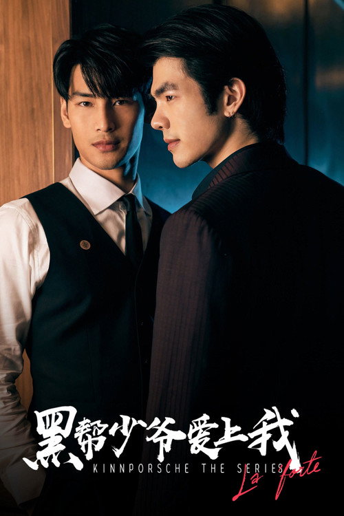 黑帮少爷爱上我电影海报